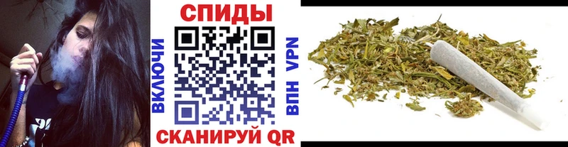 БУТИРАТ BDO 33%  Опочка 
