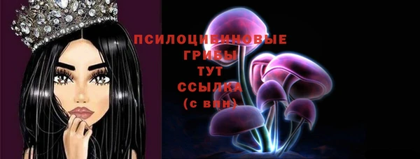 мяу мяу мука Алзамай